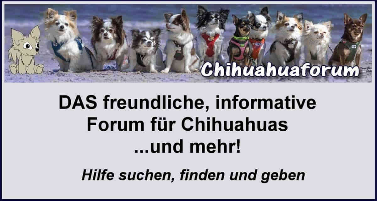 Chiforum