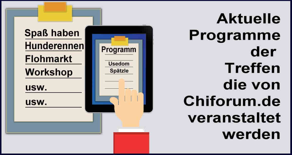 Programm